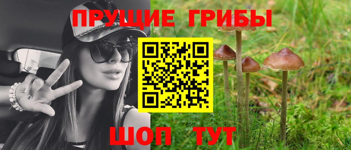 Псилоцибиновые грибы Psilocybe  Вход с VPN  Улан-Удэ 